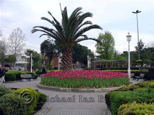 Gardens with Tulips in flower